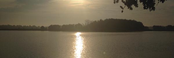 ocoustere Profile Banner