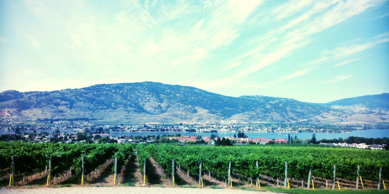 Randy Liewicki banner