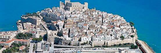 Fco. Javier Araoz banner