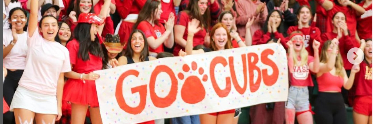 Mayfield Cubs banner