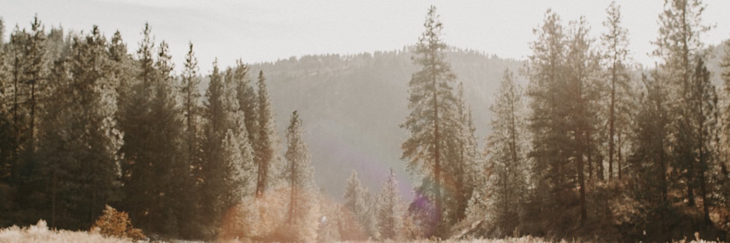 pcarrillo_15's profile banner image