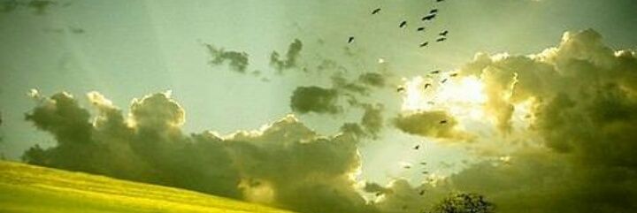 ابتسام علي banner