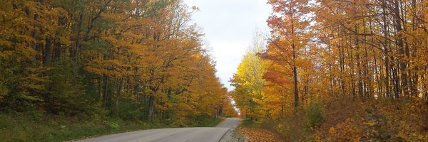 Anthony M. Locricchio Profile Banner