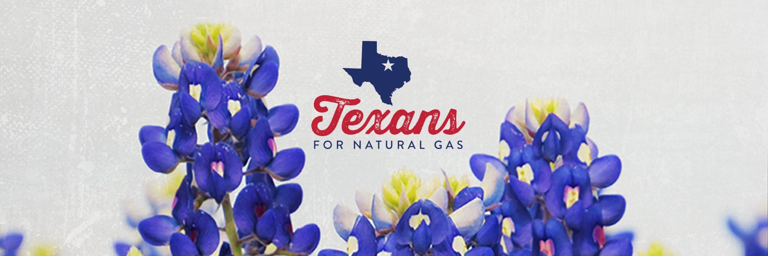 Texans for Natural Gas Profile Banner