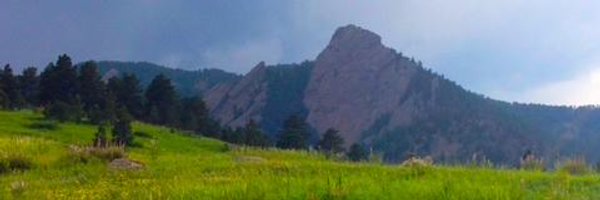 HarrySurden Profile Banner