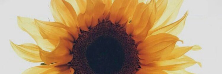 ellzyeah's profile banner image