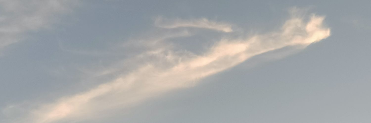tsujioman's profile banner image
