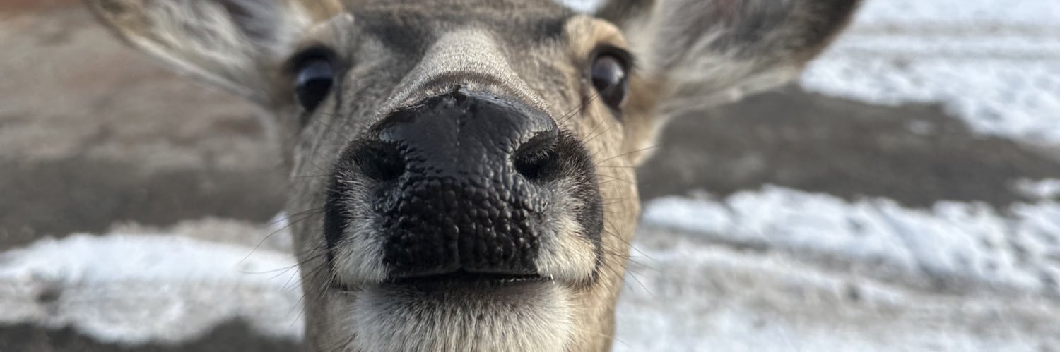 ItsObviJames's profile banner image