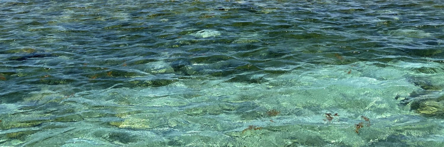 CollazoJariel's profile banner image
