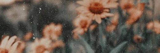 emycoreo's profile banner image
