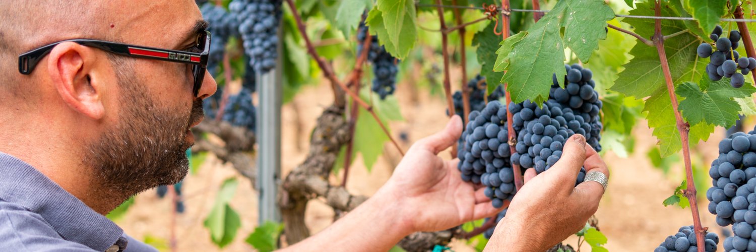 cantineIonis's profile banner image