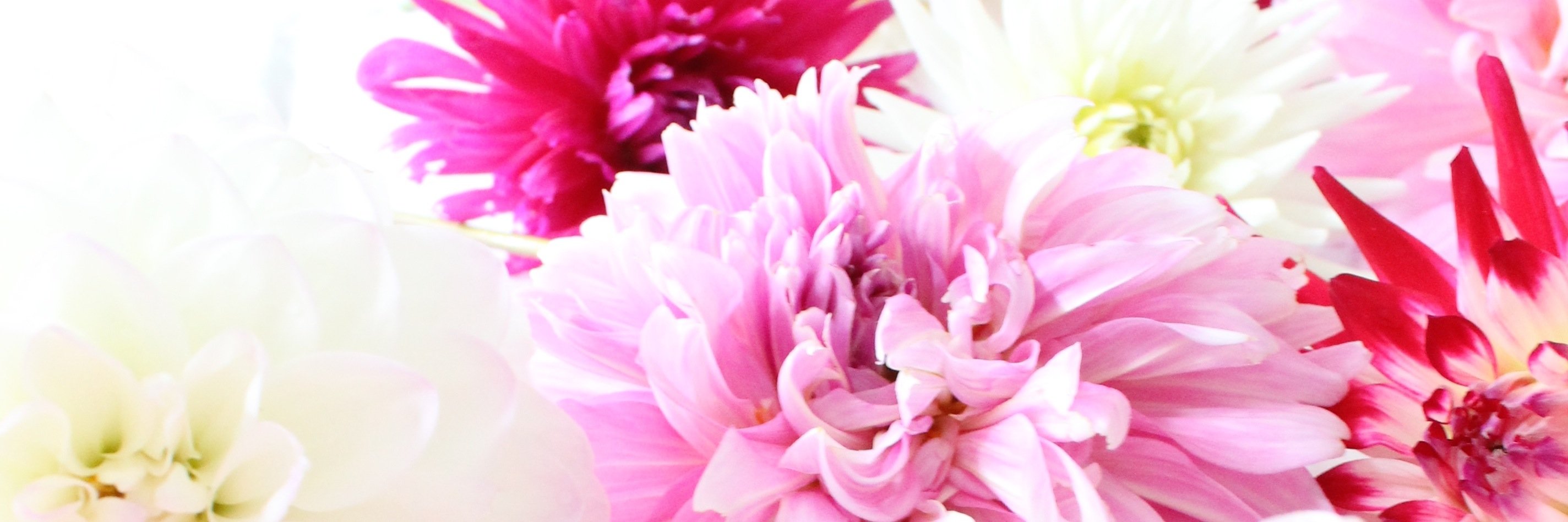 theodastyle's profile banner image