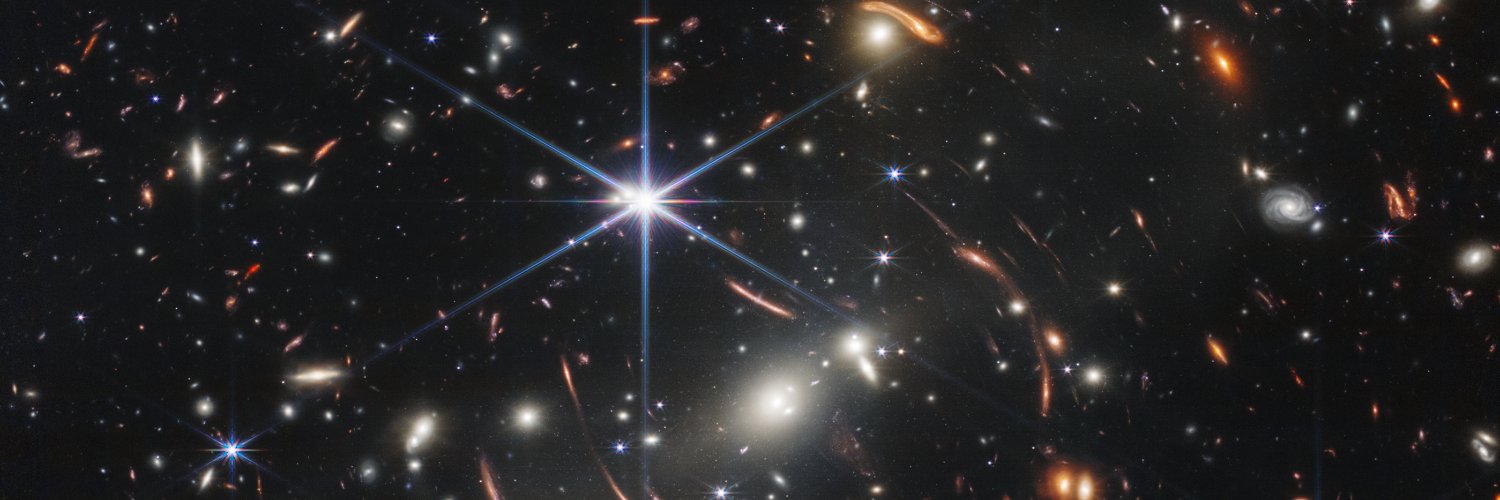 Kathy Renfrew banner