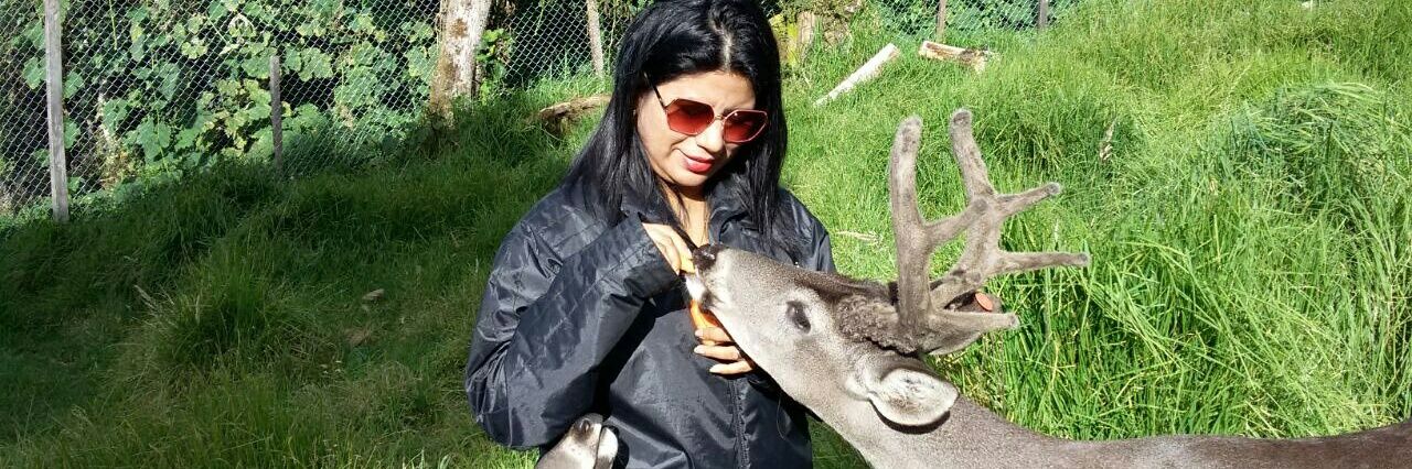 Sylvia Armanza 8a banner