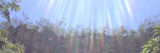 md banner