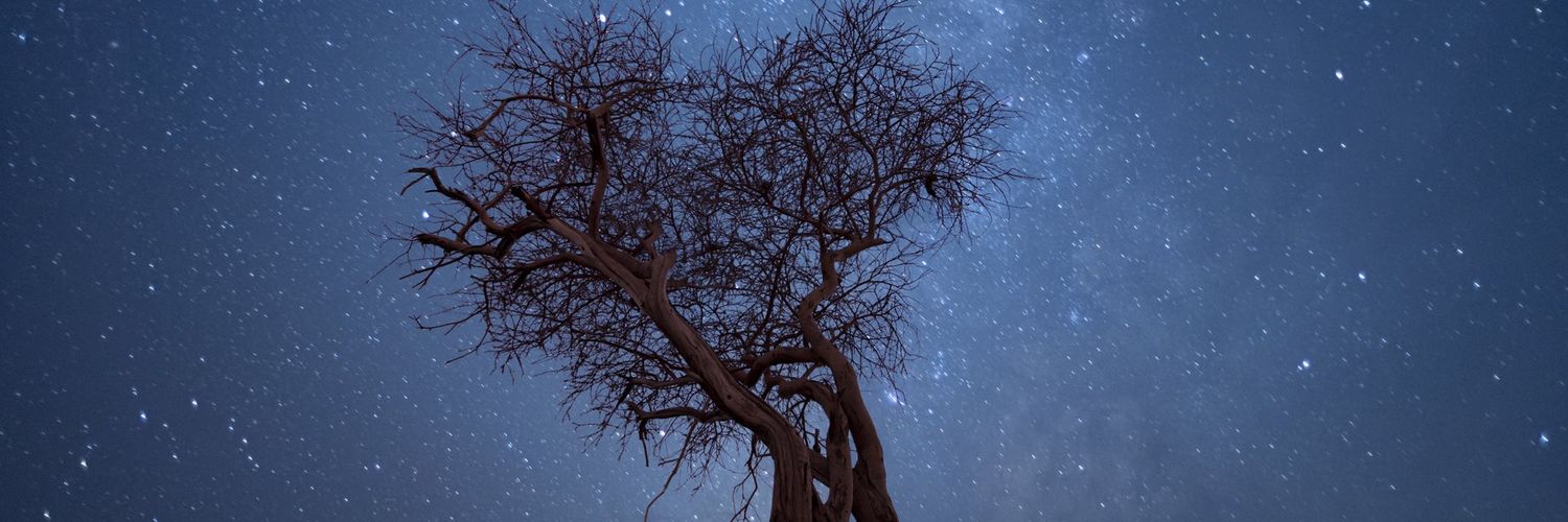 gg564322's profile banner image