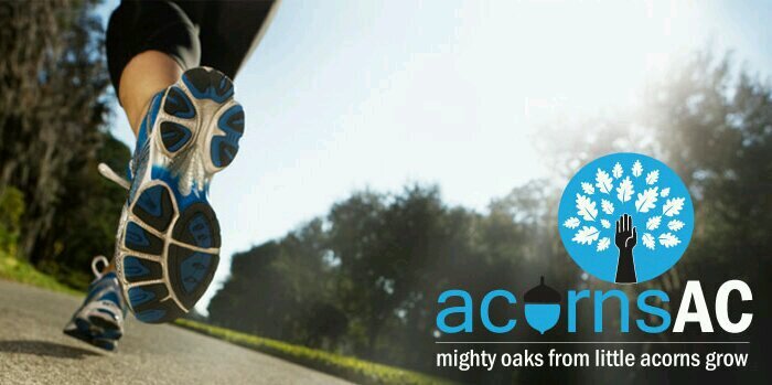 acorns AC banner