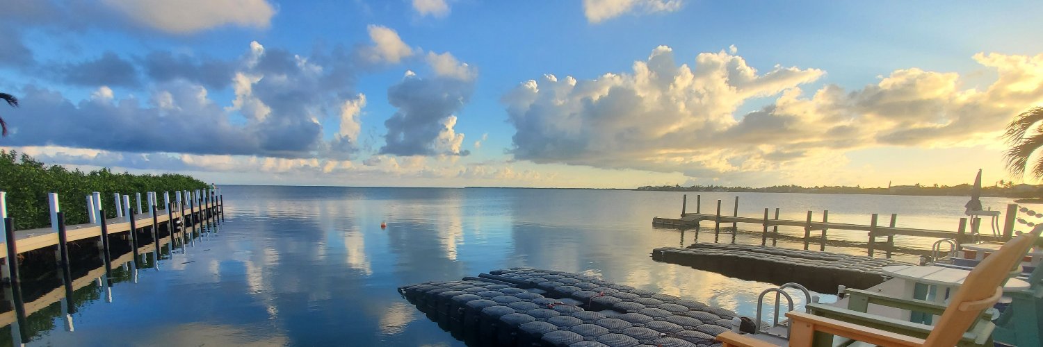 NeilyB 🇺🇲 banner