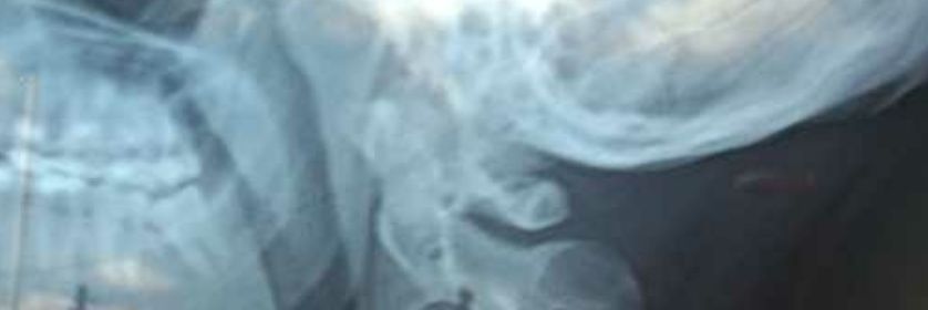 Rada_mes's profile banner image