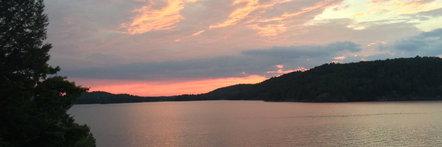 𝙍َِ𝙈َِ𝙄َِ𝘿 banner