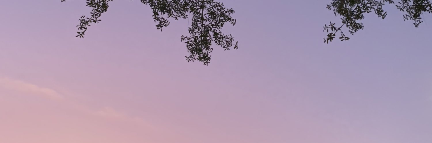 faithelisep's profile banner image