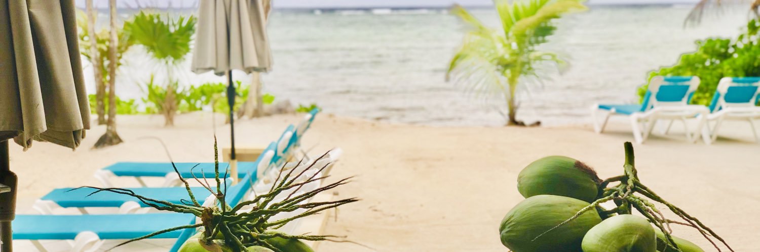 JohnnyTabaie's profile banner image