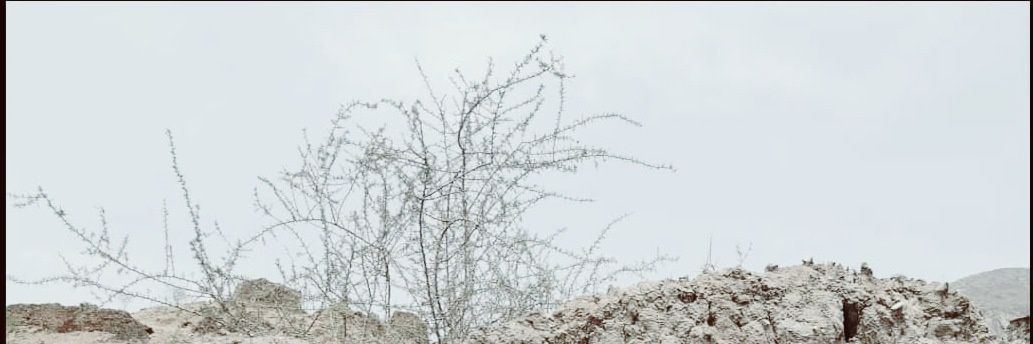 wejdaneyat's profile banner image
