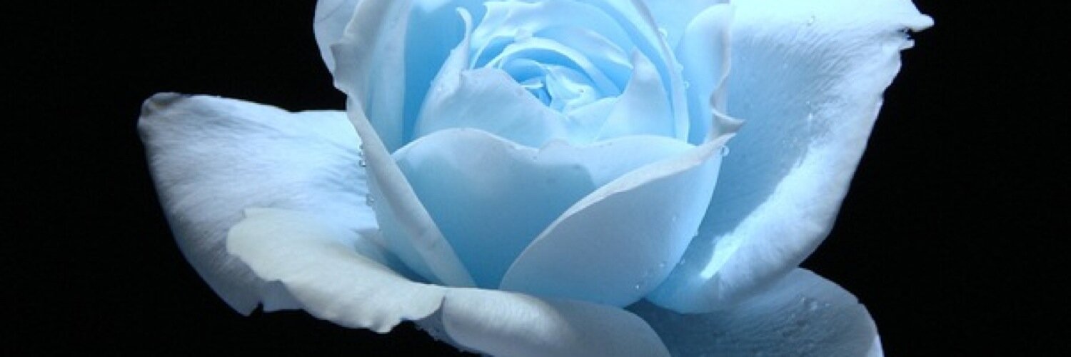 Giera73's profile banner image
