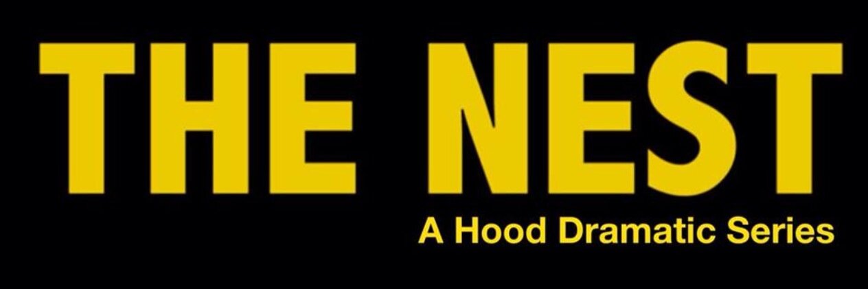 NestSeries's profile banner image