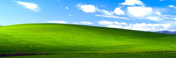 DiscRisknBisque Profile Banner