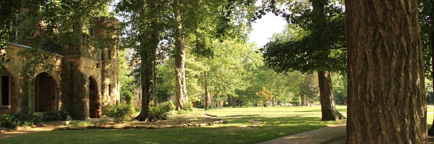SewaneeSMF's profile banner image