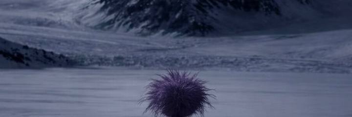 Drisasiska's profile banner image