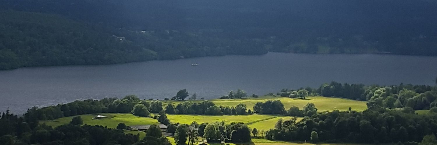 Petrina Tan, PhD banner