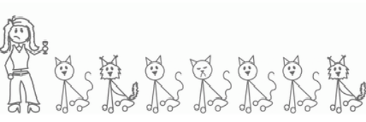 Steph Schwartz banner