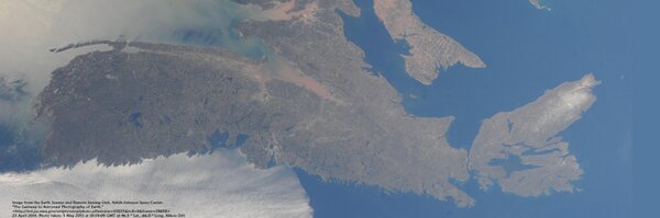 DaveAtCOGS Profile Banner