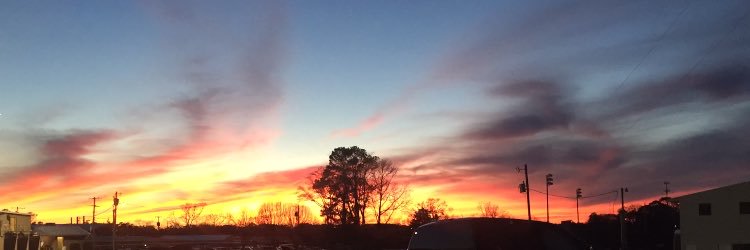 destini brown banner