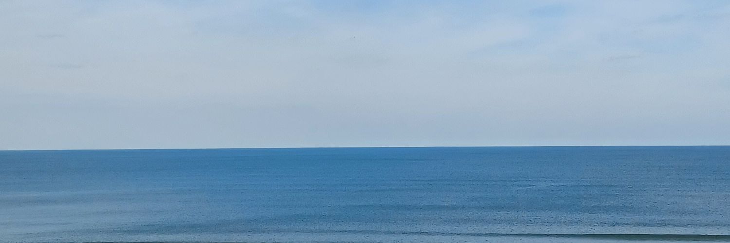 swimmerterry's profile banner image