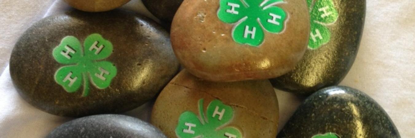 Lycoming4H's profile banner image