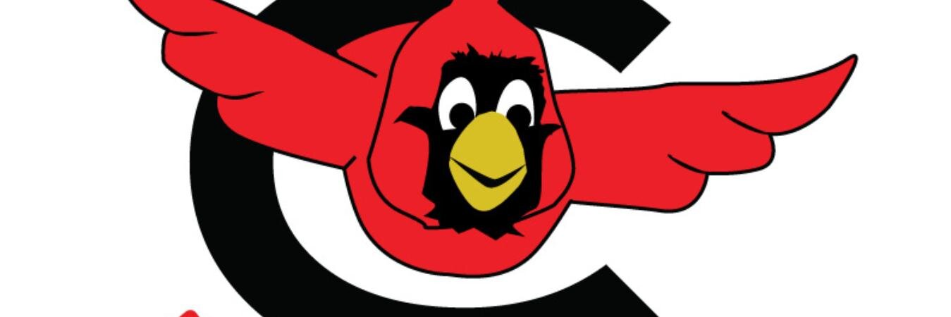 Cardinal Ridge ES banner