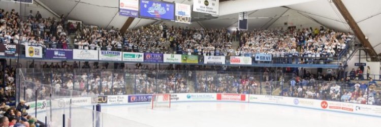 Steven Swavely banner