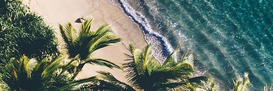 Elinoucd's profile banner image
