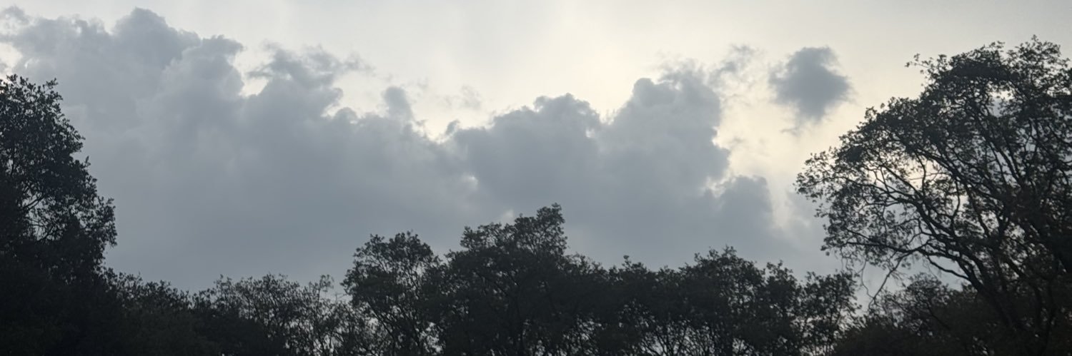 liizsolis's profile banner image