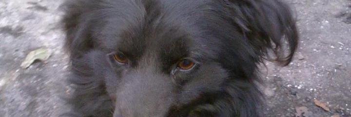 tugcealkannn's profile banner image