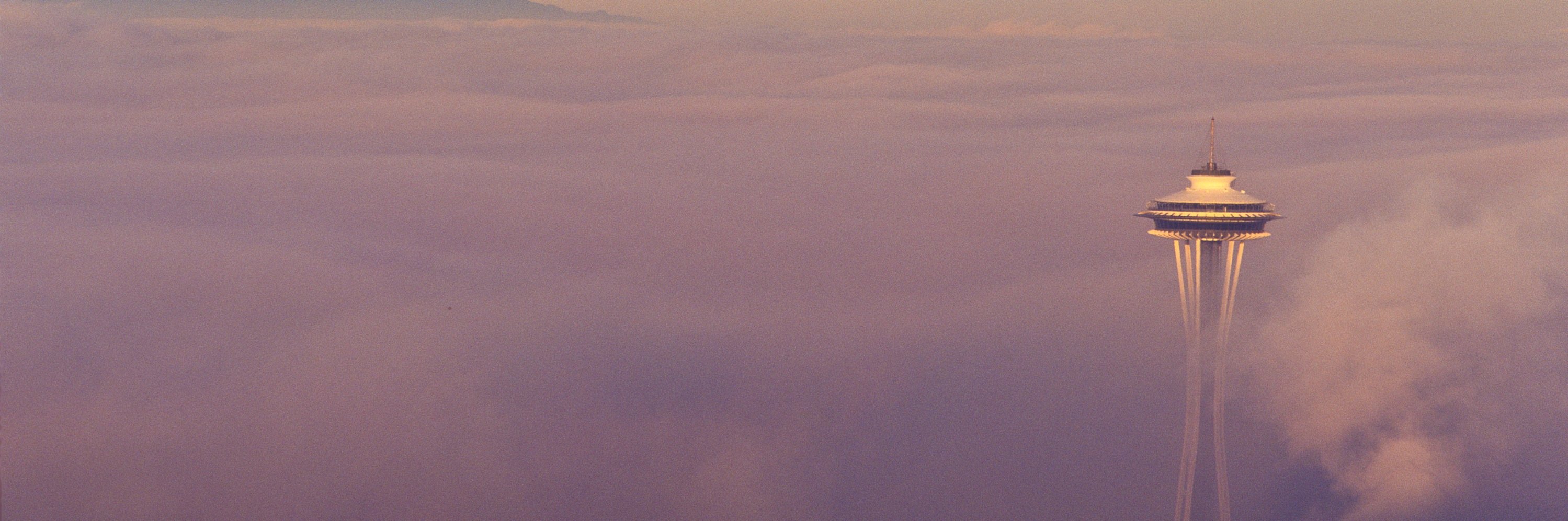 HerbanSafari's profile banner image