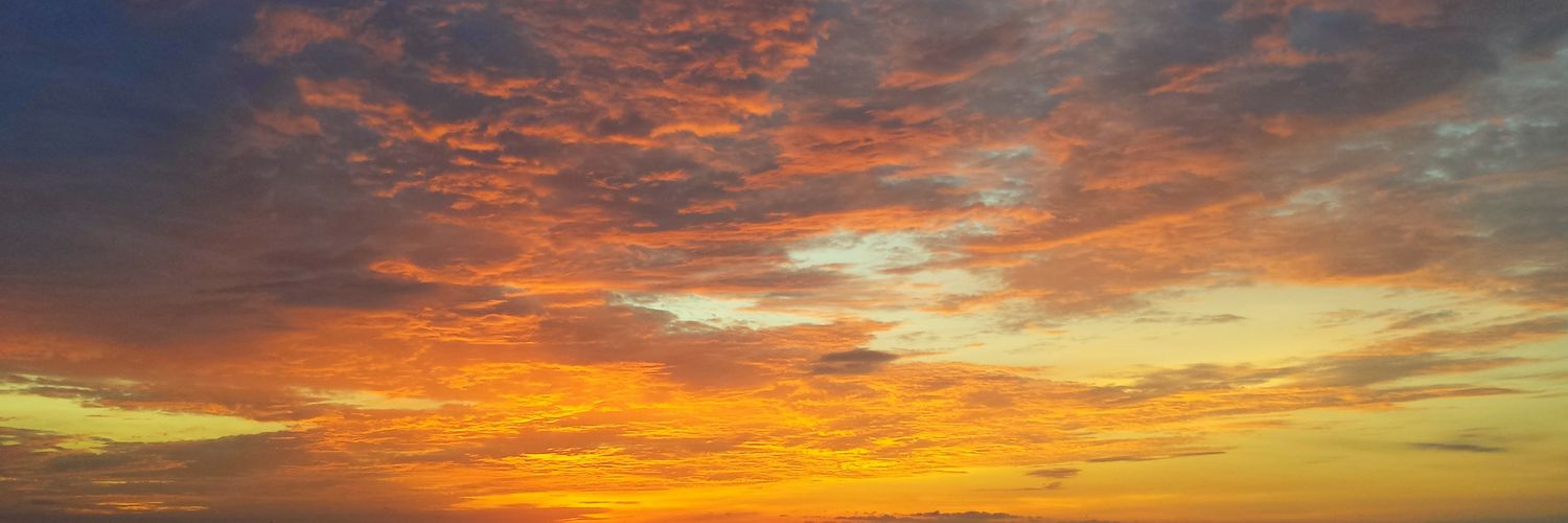 Jason Robinson banner