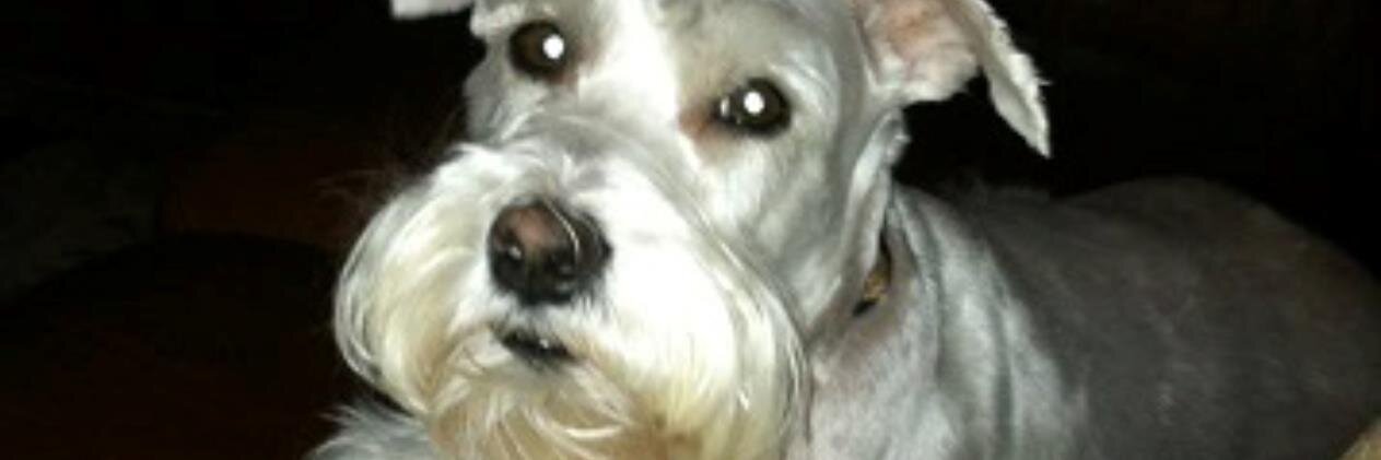 truska88's profile banner image