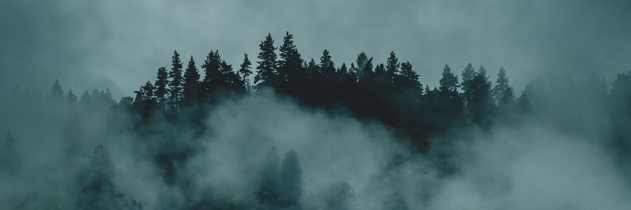 FoxBSoS's profile banner image