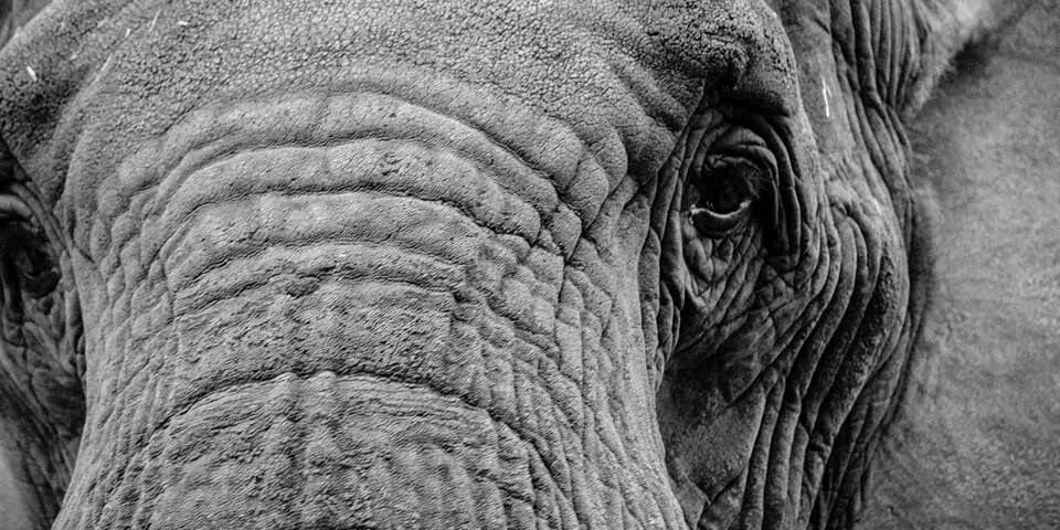 BlevinsDestin's profile banner image