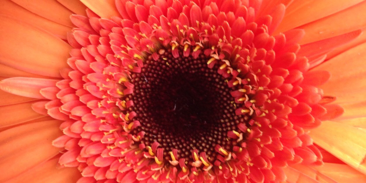 genevieveherr's profile banner image