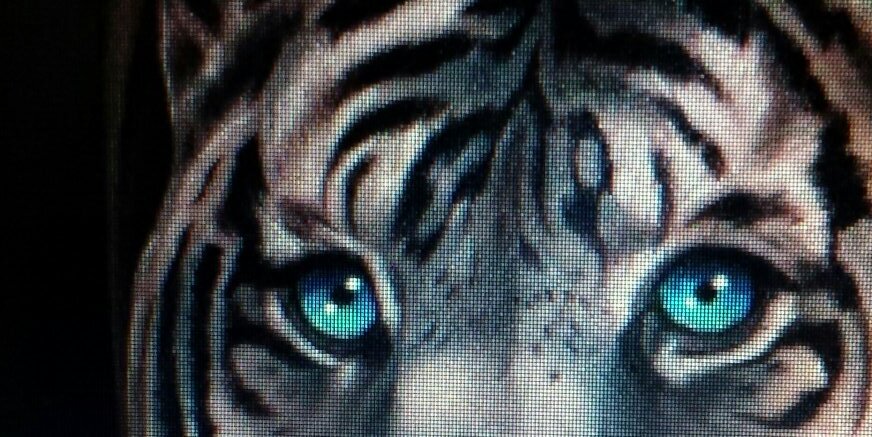 sharon2000tiger's profile banner image